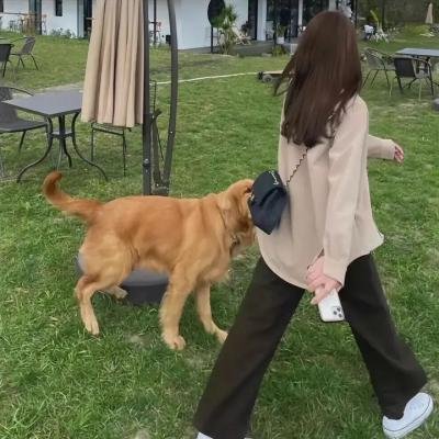 隐秘的角落